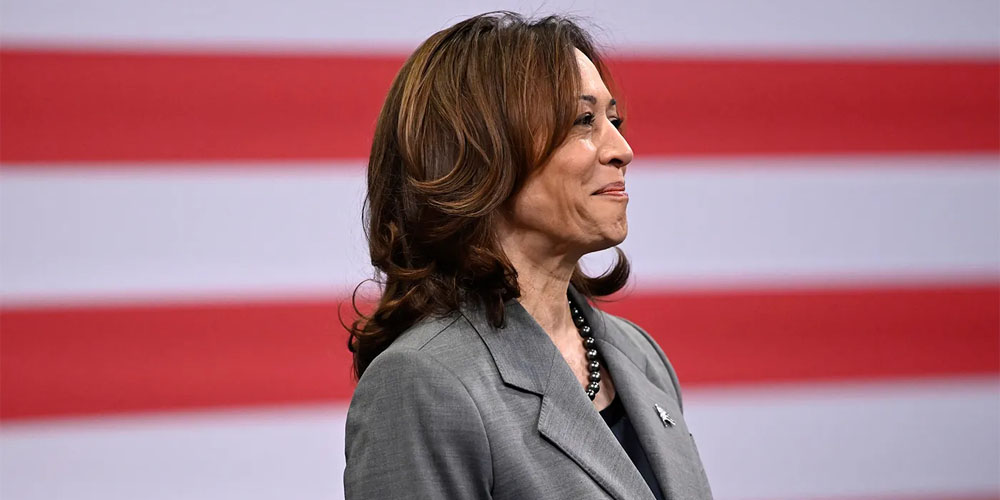 Kamala Harris federal ban on price gouging